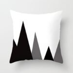 housse de coussin indien 1