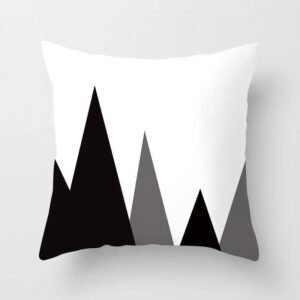housse de coussin indien 1