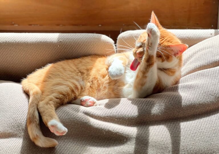 comment faire des housse de coussin