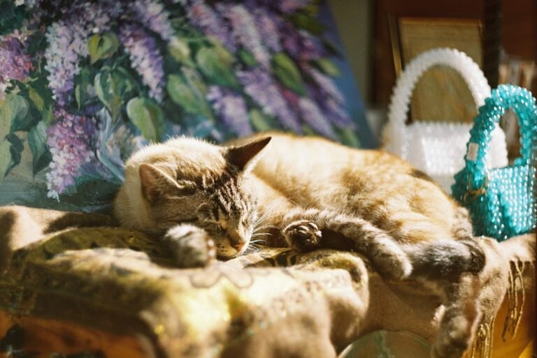 comment faire une housse de coussin épais avec fermeture eclair